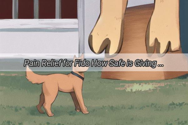 Pain Relief for Fido How Safe is Giving Your Dog Ibuprofen